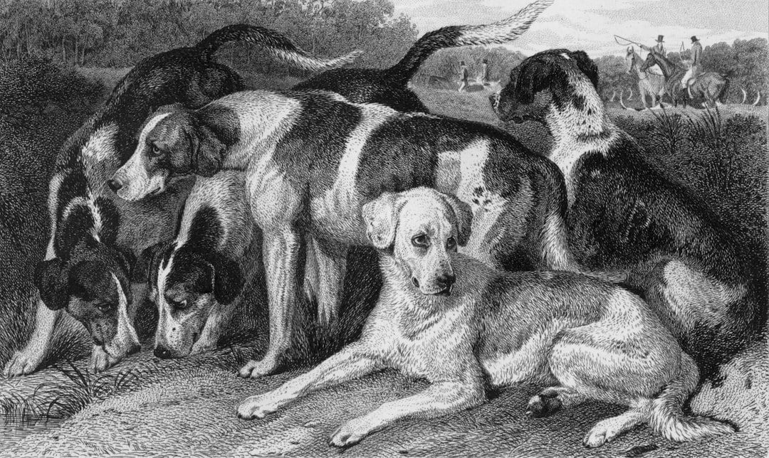 brachycephalic dog breeds lineup