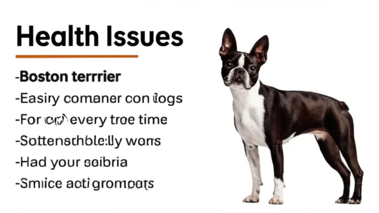 Featured image for 9 Most Common Health Issues in Boston Terriers You Must Know 2025
