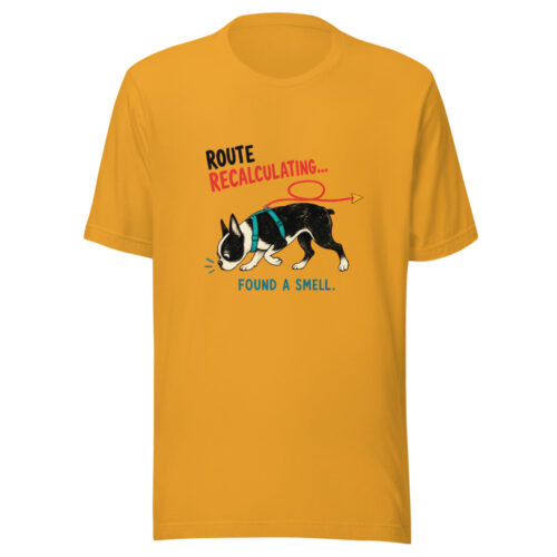 Route Recalculating Found A Smell Route-recalculating-boston Graphic Tee front view