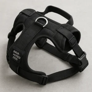 Featured image for 10 Best Harnesses for Flat Faced Dogs That Actually Work 2026