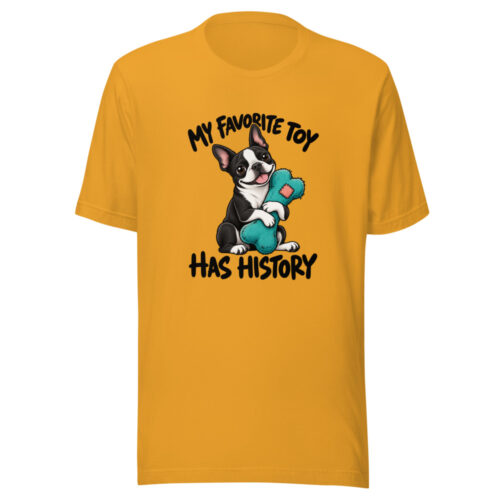 My Favorite Toy Has History Graphic Tee front view