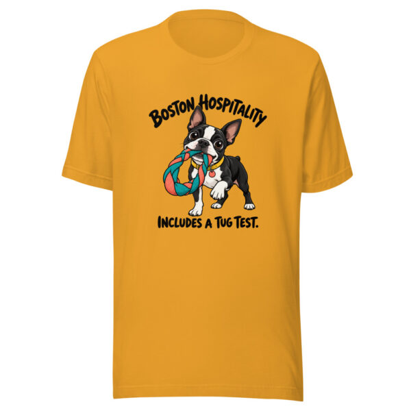 Boston Hospitality Includes A Tug Test Graphic Tee mockup 2